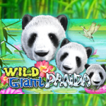 เกมสล็อต - Wild Giant Panda